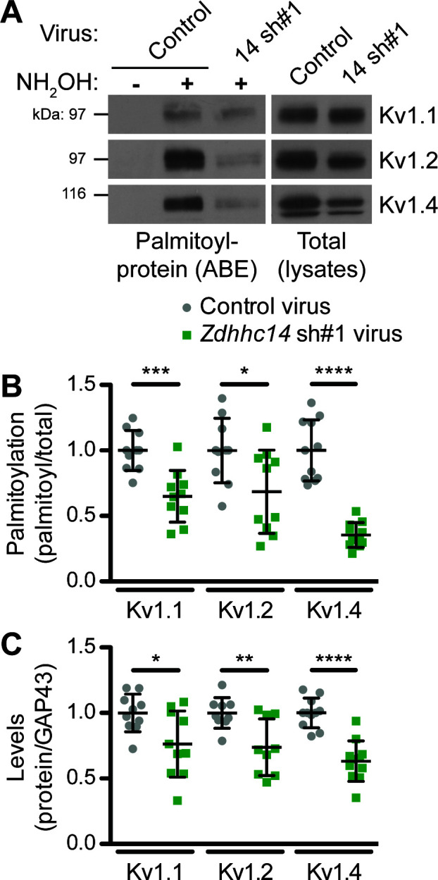 Figure 6.