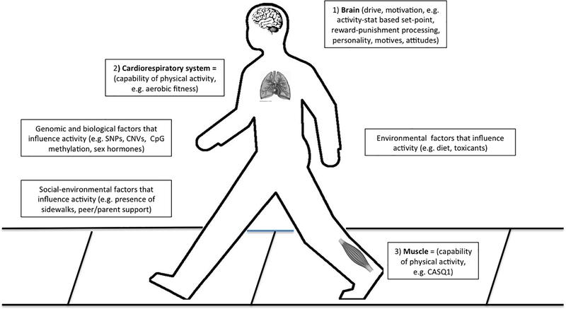 Figure 2 -