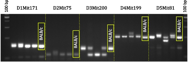 Figure 2.