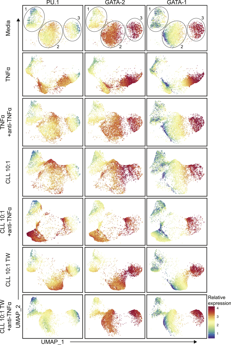 Figure 4