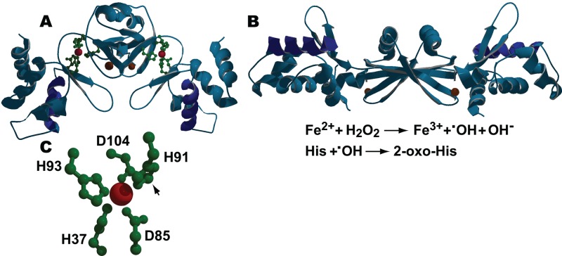 Fig 2