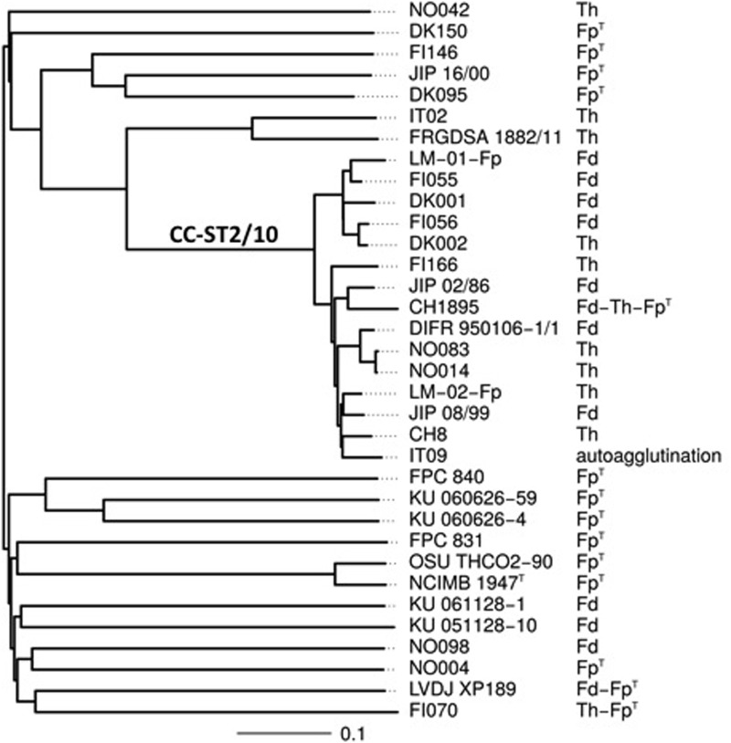 FIGURE 1