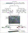Figure 20.1.1