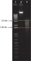 Figure 20.1.4