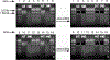 Figure 20.1.5