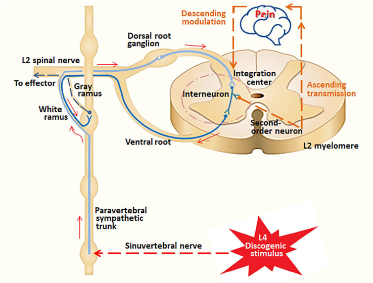 Figure 2.