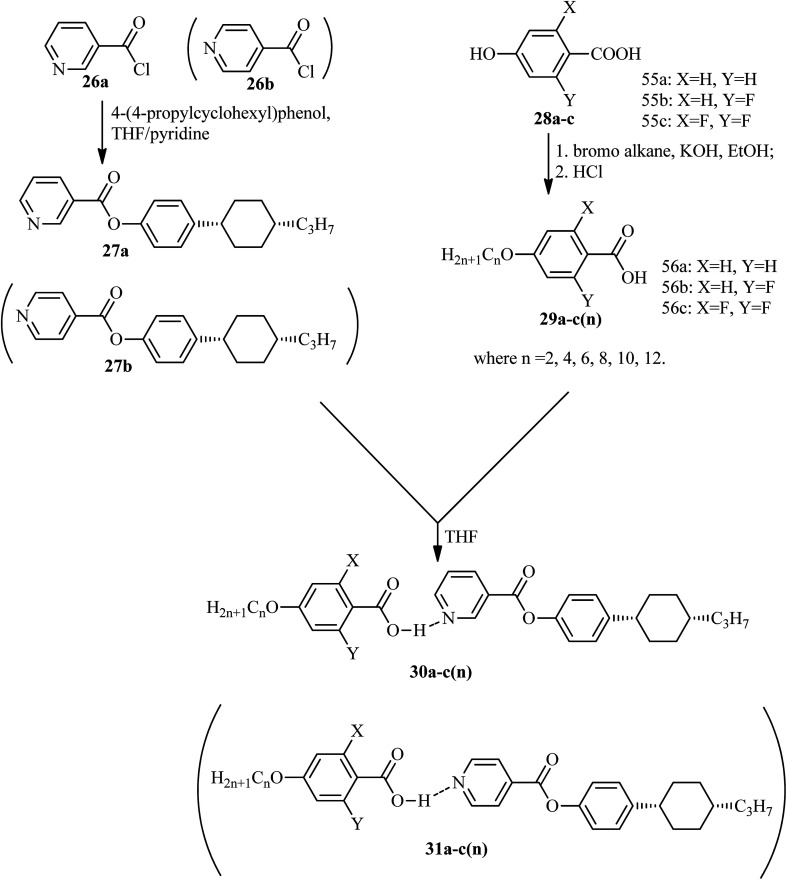 Scheme 5