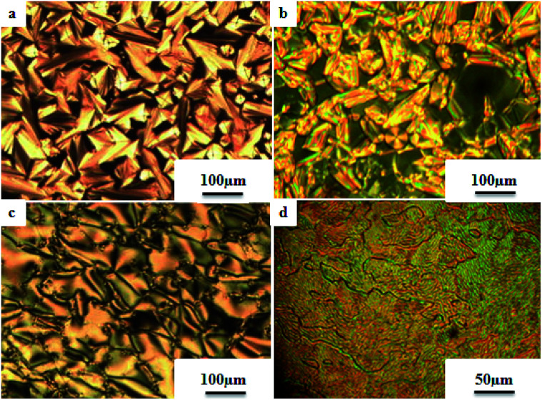 Fig. 25