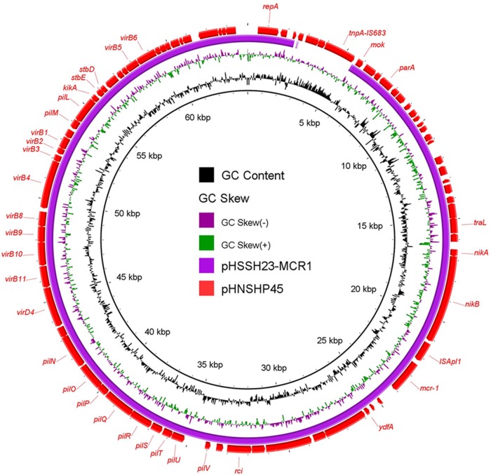 FIG 2