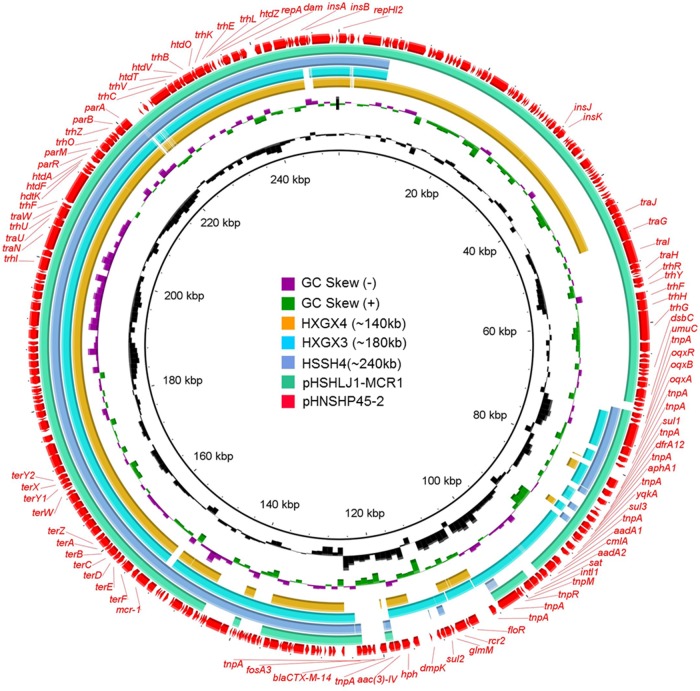 FIG 3