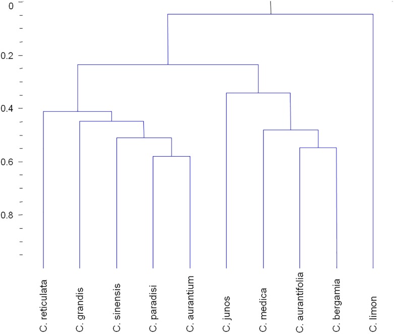 FIGURE 3