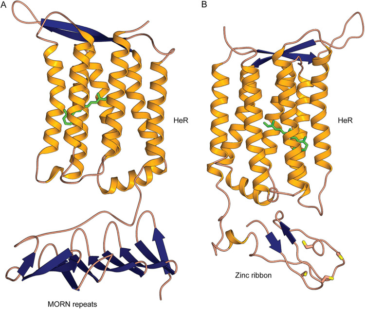 FIG 1