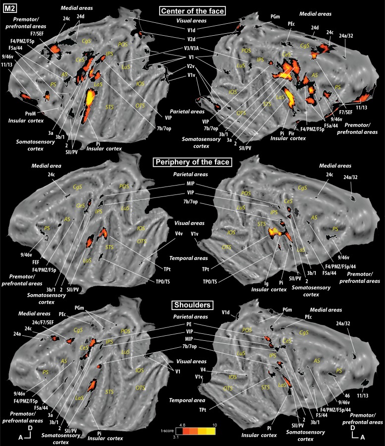 Fig. 3.