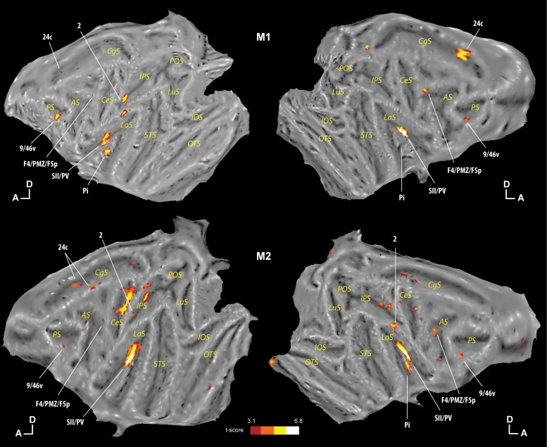 Fig. 4.