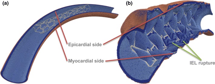 Figure 3