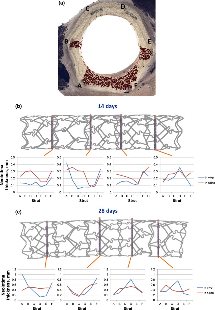 Figure 5