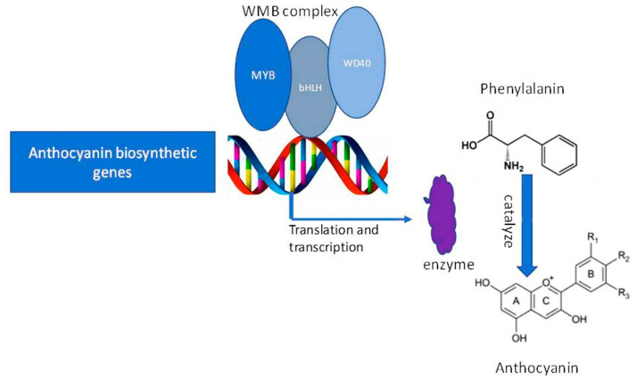 Figure 10