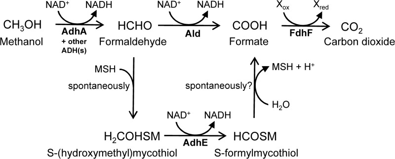 Fig 6