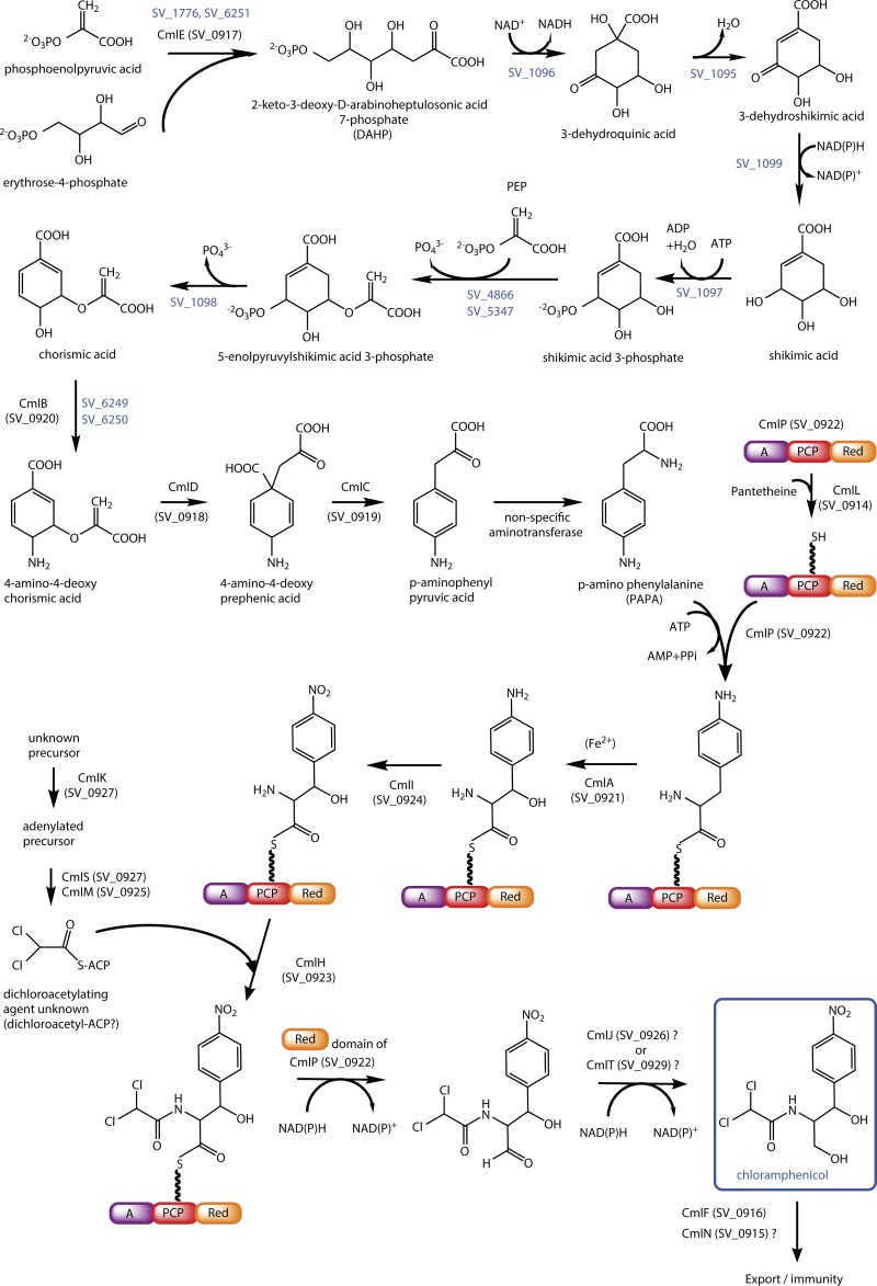 FIG 6