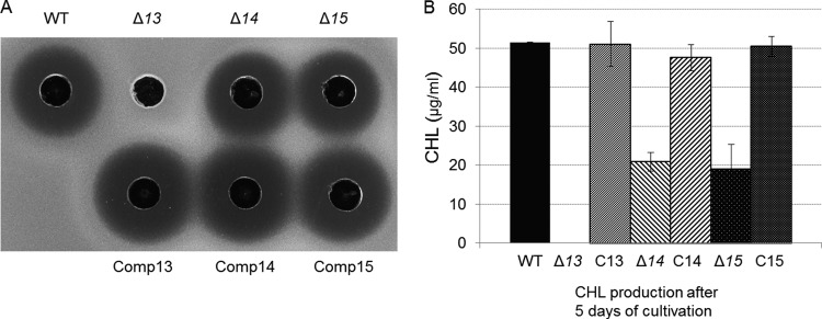 FIG 3