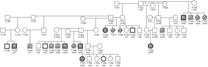 Fig 4