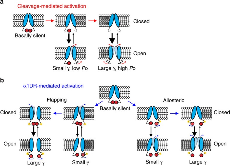 Figure 7