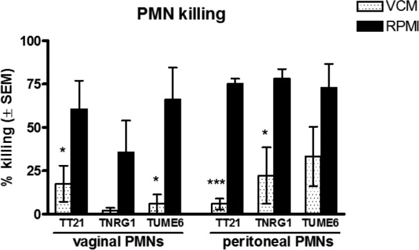 FIG 3 