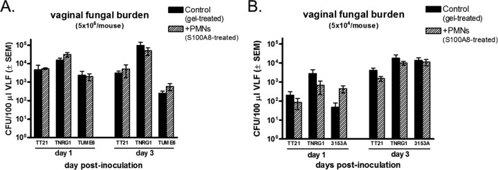 FIG 2 