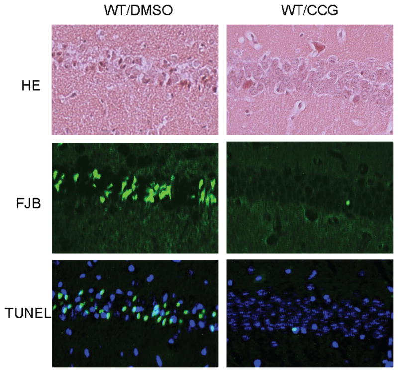 Figure 12