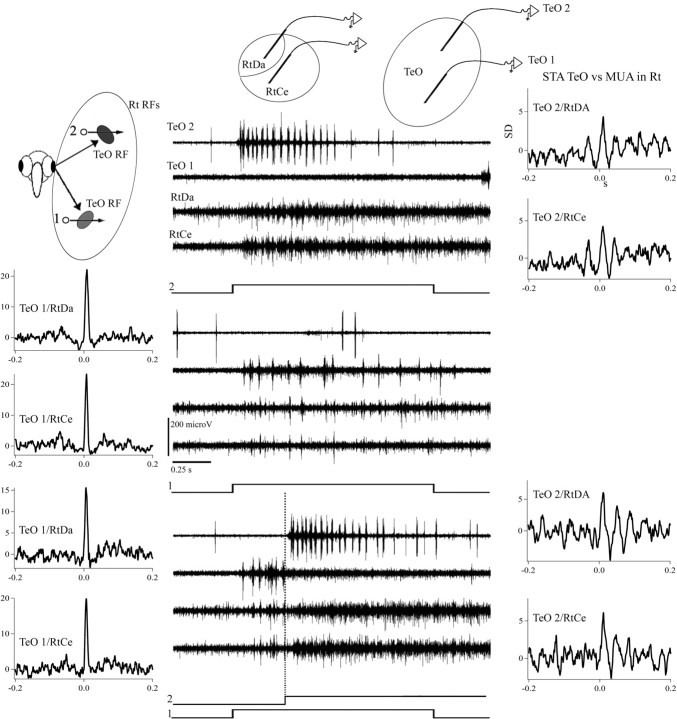 Figure 9.