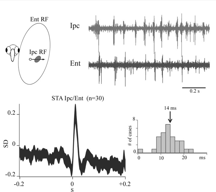 Figure 11.