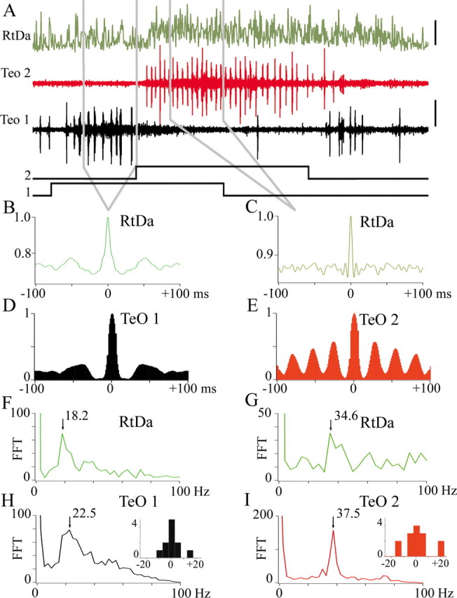 Figure 10.