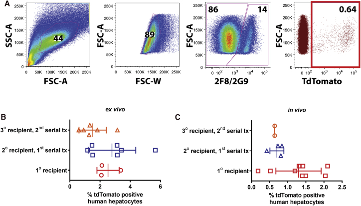 Figure 3