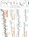 Pigment levels and ratios in C. tomentosa and C. baltica.