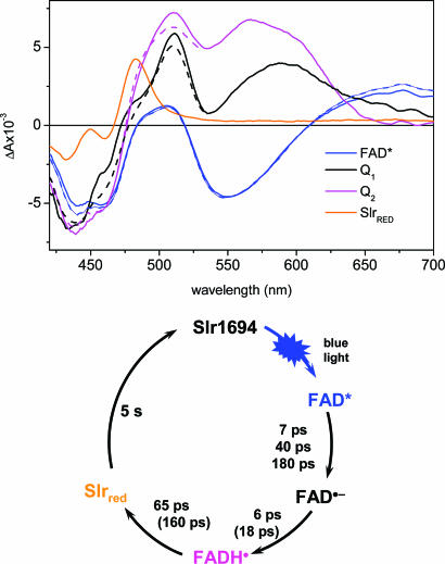 Fig. 4.