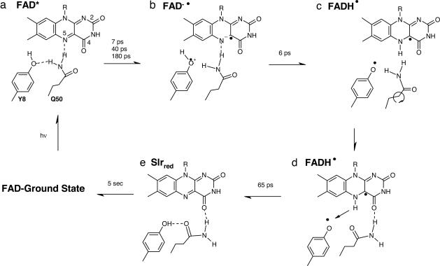 Fig. 5.