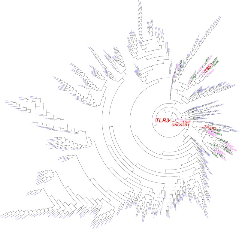 Fig. 3.