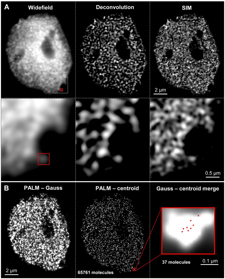 FIGURE 3