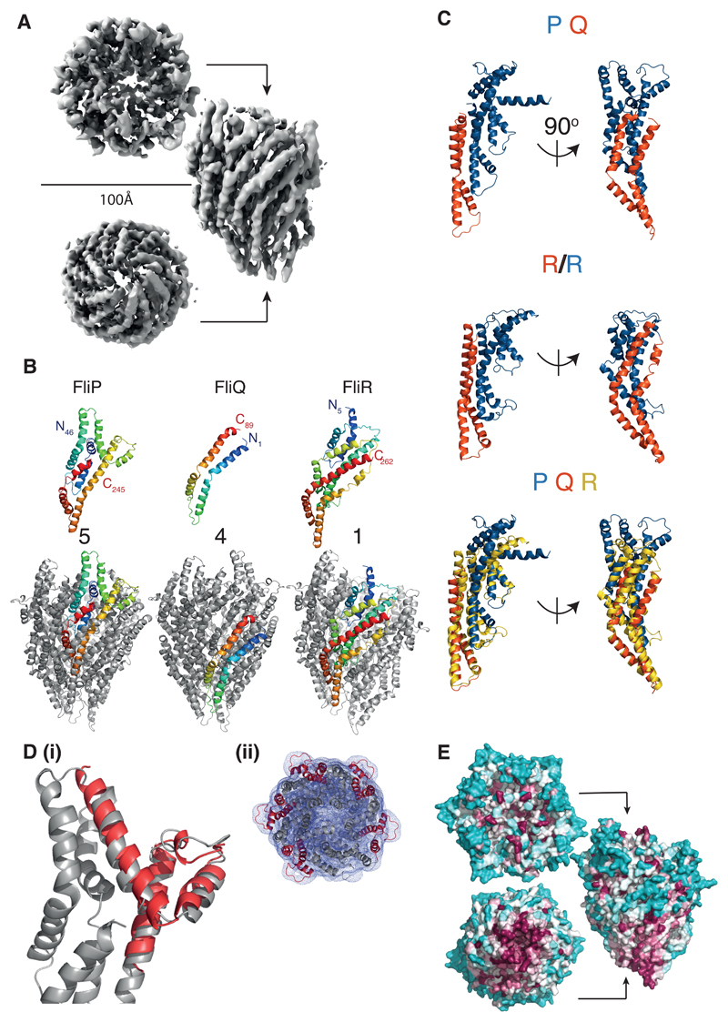 Fig. 2