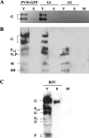 FIG. 6.