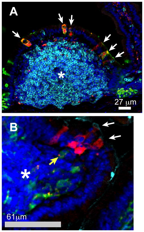 Figure 6