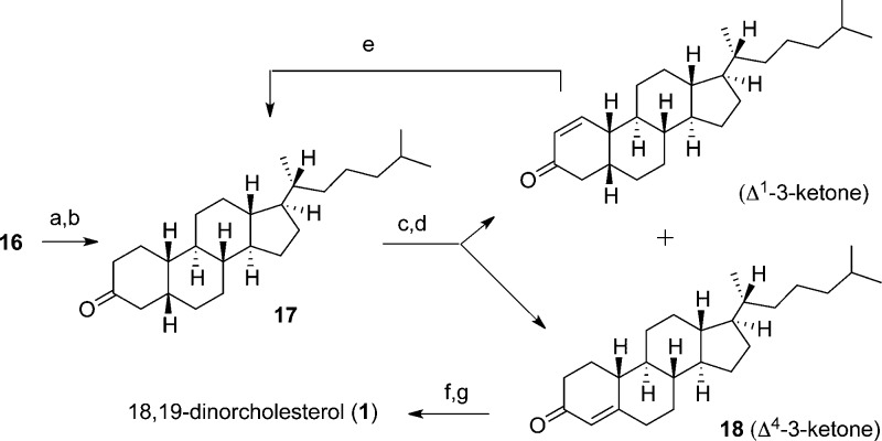 Scheme 4