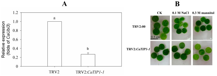 Figure 8