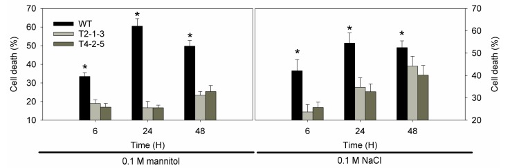 Figure 6