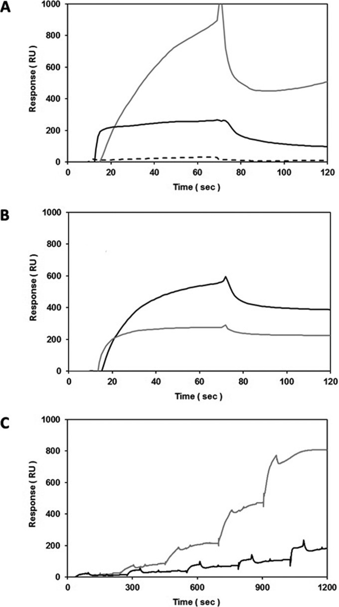 FIG 5