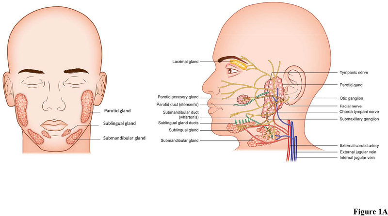 Figure 1: