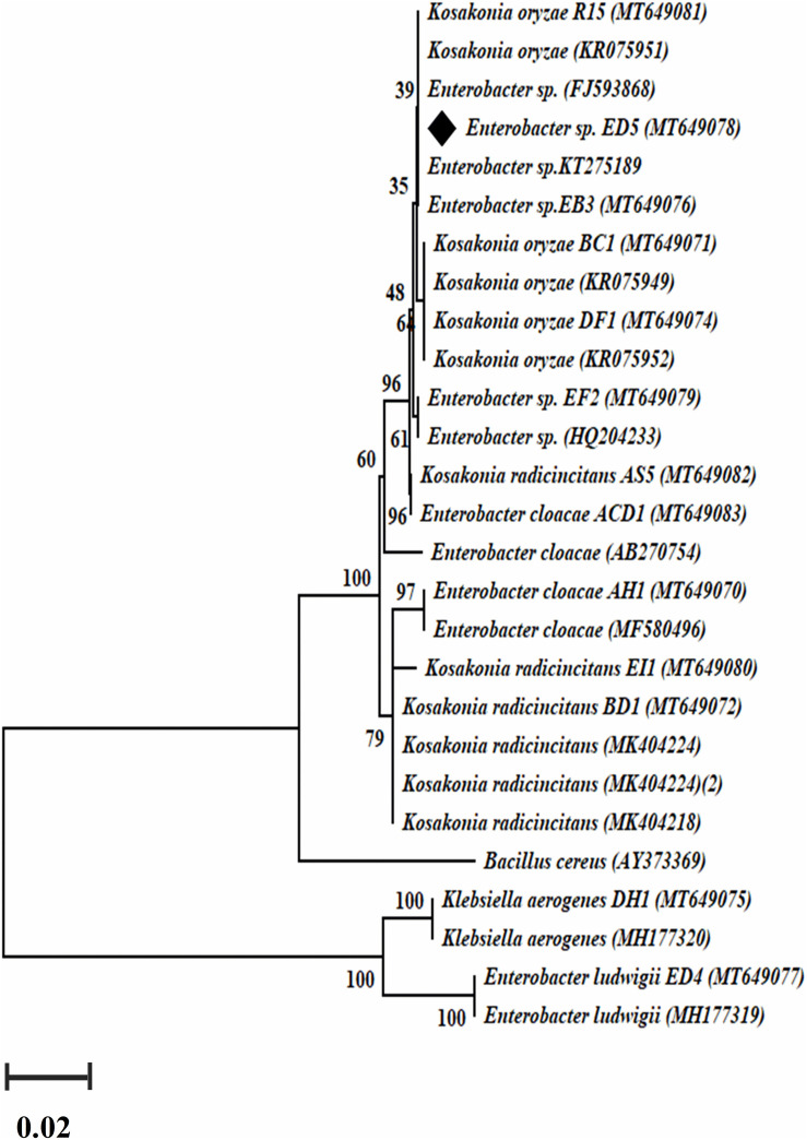 FIGURE 3