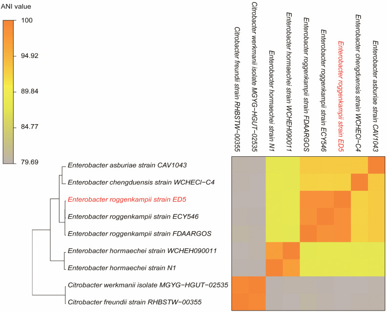 FIGURE 6