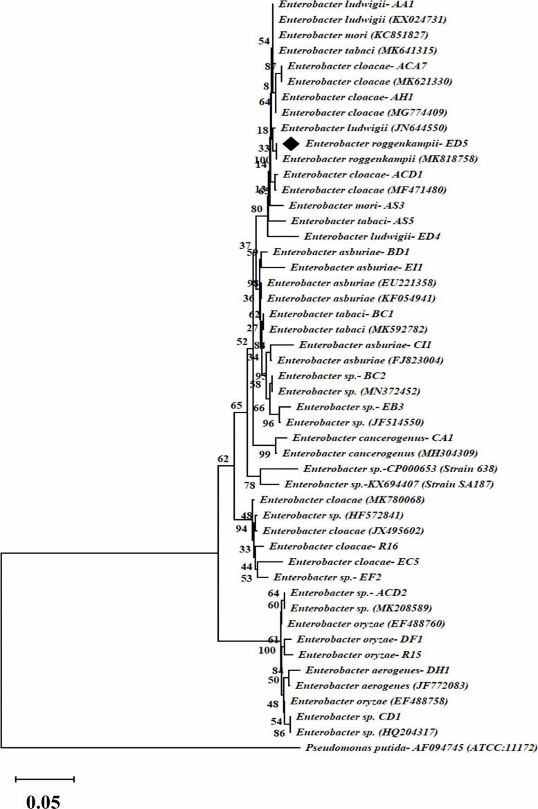 FIGURE 2