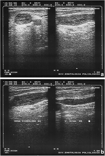 Fig. 5